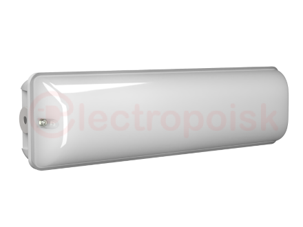 Аварийный светильник BS-METEOR-53-L1-INEXI3