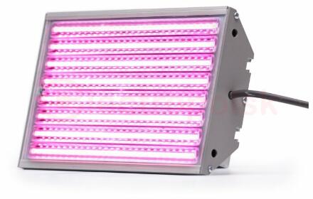 Фитосветильник 30W Lisma Module M2 U Phyto F